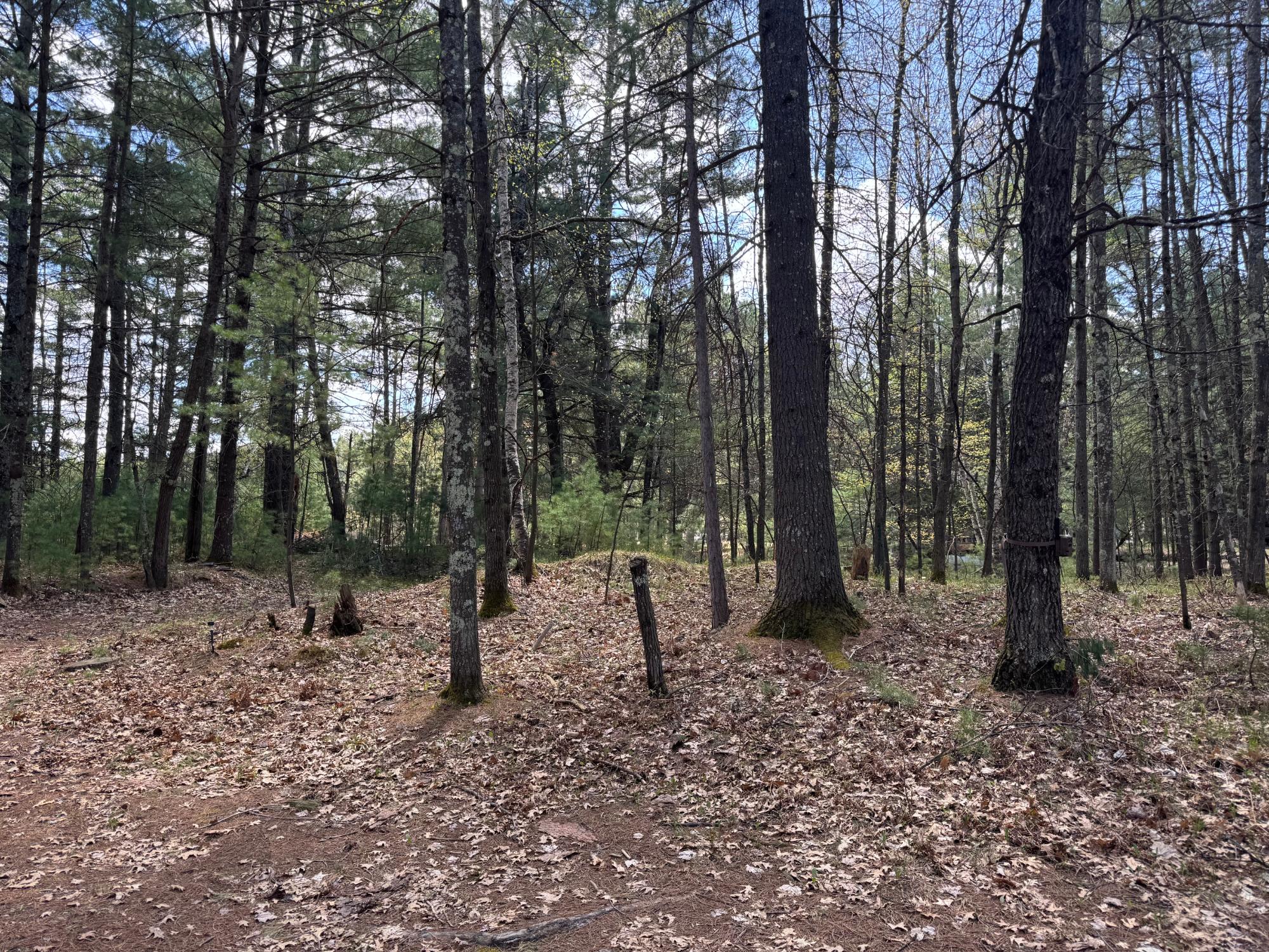 8522 Camp Pinemere Road Minocqua, WI 54548 - Photo 22 of 25 Gallery Image 22