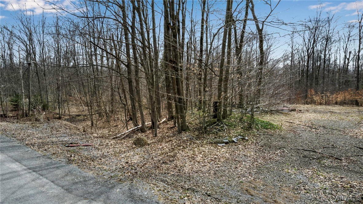 3436 Dunham Road Orangeville, NY 14569 - Photo 12 of 13