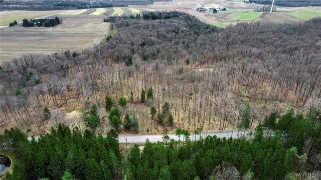 $57,000 | 3436 Dunham Road, Orangeville, NY 14569