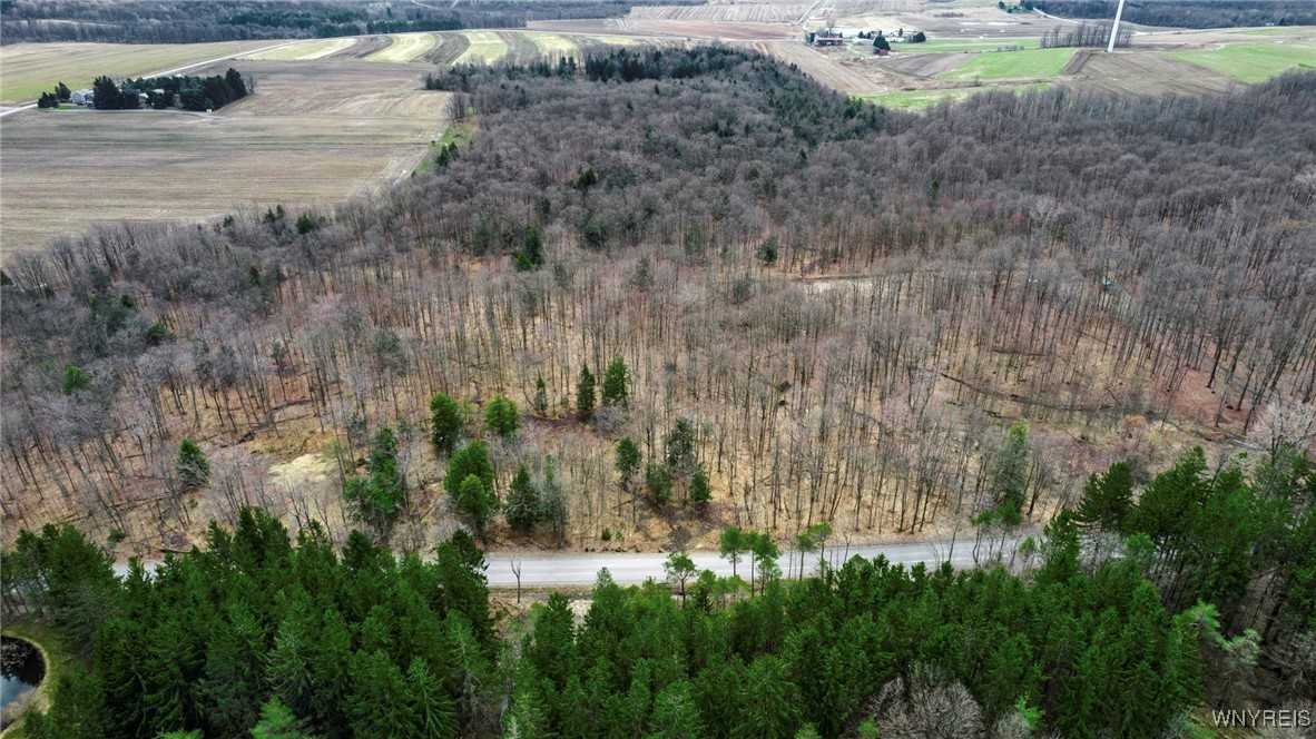 3436 Dunham Road Orangeville, NY 14569 - Photo 7 of 13