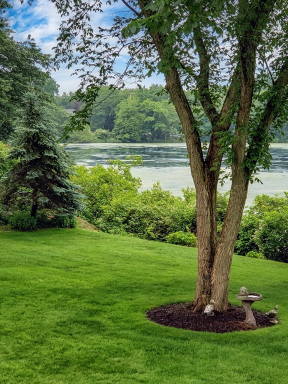 155 Sagamore Road Seekonk, MA 02771 - Photo 40 of 41 a view of a garden with a tree