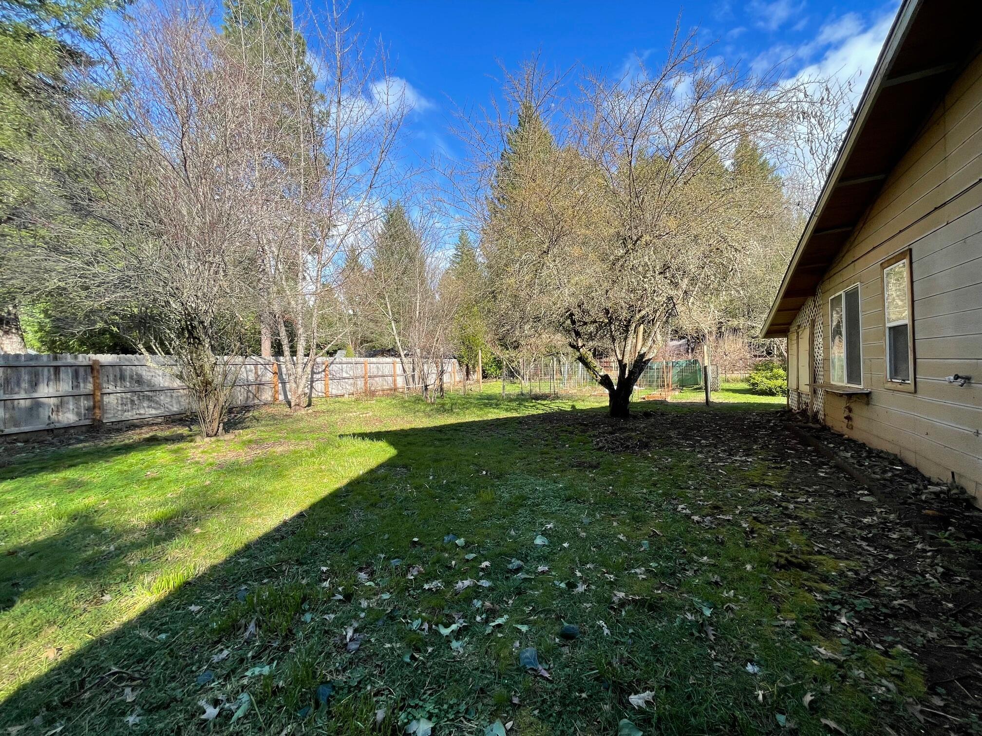 411 South Old Stage Road Cave Junction, OR 97523 - Photo 31 of 39 a view of yard with tree