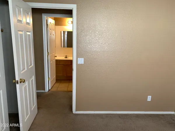 a view of a yard with plants and trees