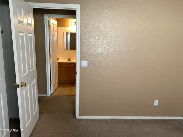 a view of a yard with plants and trees