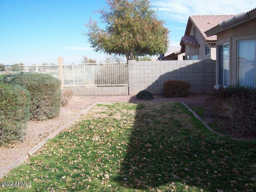 810 South 124th Avenue Avondale, AZ 85323 - Photo 15 of 18 a view of a yard with plants and trees