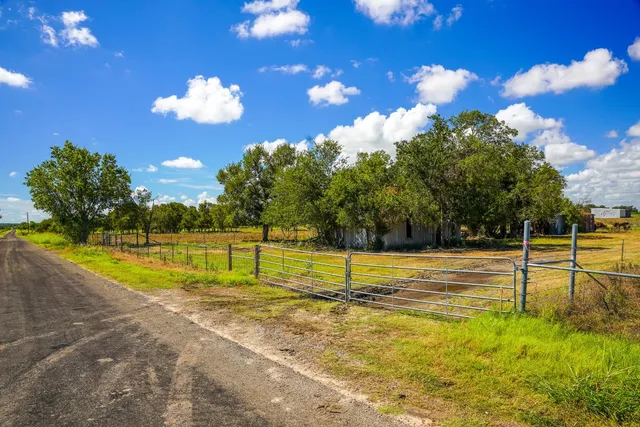a view of a bunch of trees