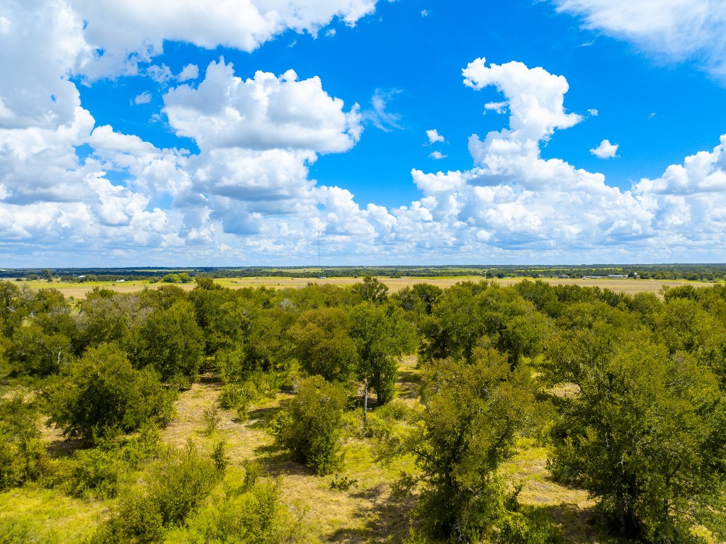 0 Tract 2 Cr Coupland, TX 78615 - Photo 25 of 34 a view of a lake