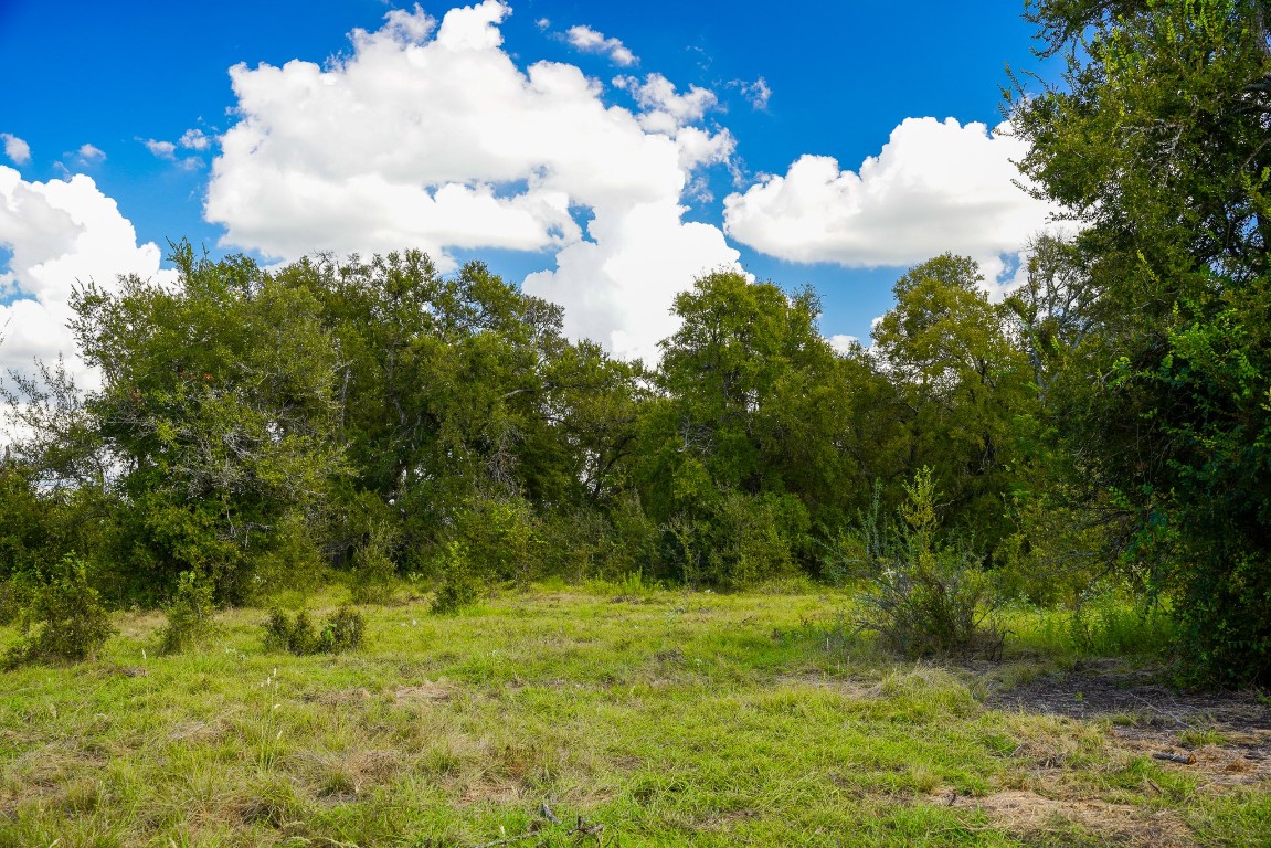 0 Tract 2 Cr Coupland, TX 78615 - Photo 26 of 34 a view of a bunch of trees