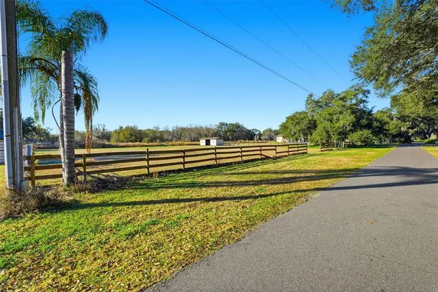 a view of a park with large trees