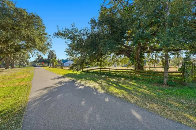 a view of a park with large trees
