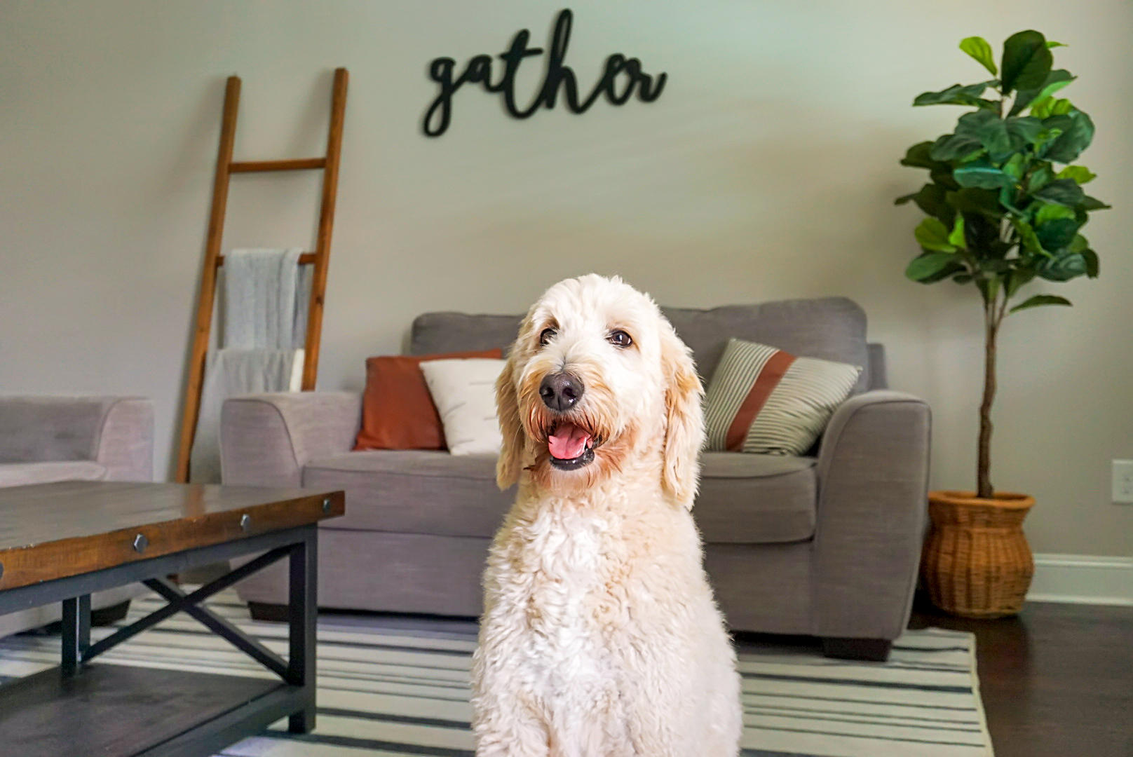 260 Topsaw Lane Moncks Corner, SC 29461 - Photo 24 of 66 DSC06949