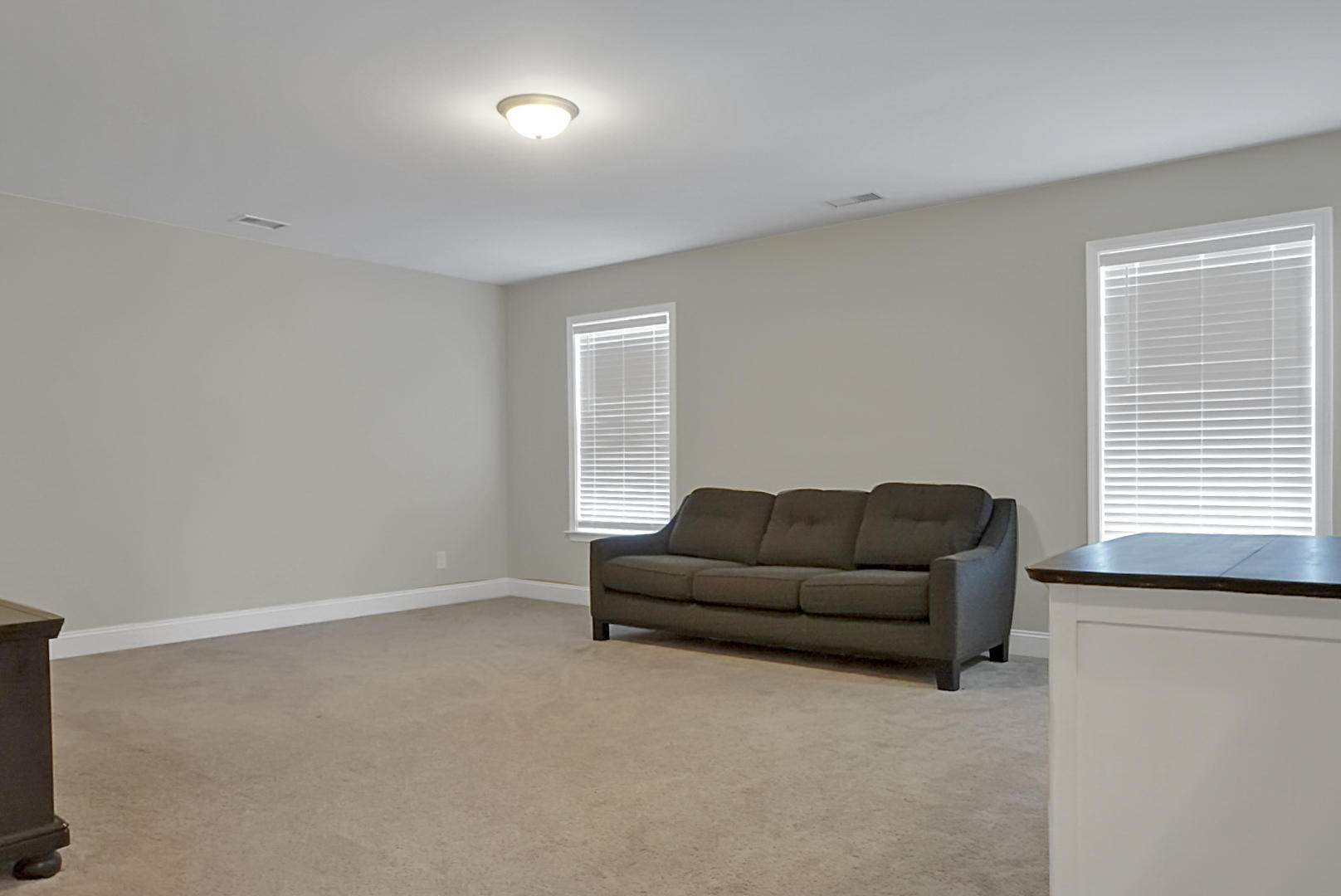 260 Topsaw Lane Moncks Corner, SC 29461 - Photo 35 of 66 DSC06872