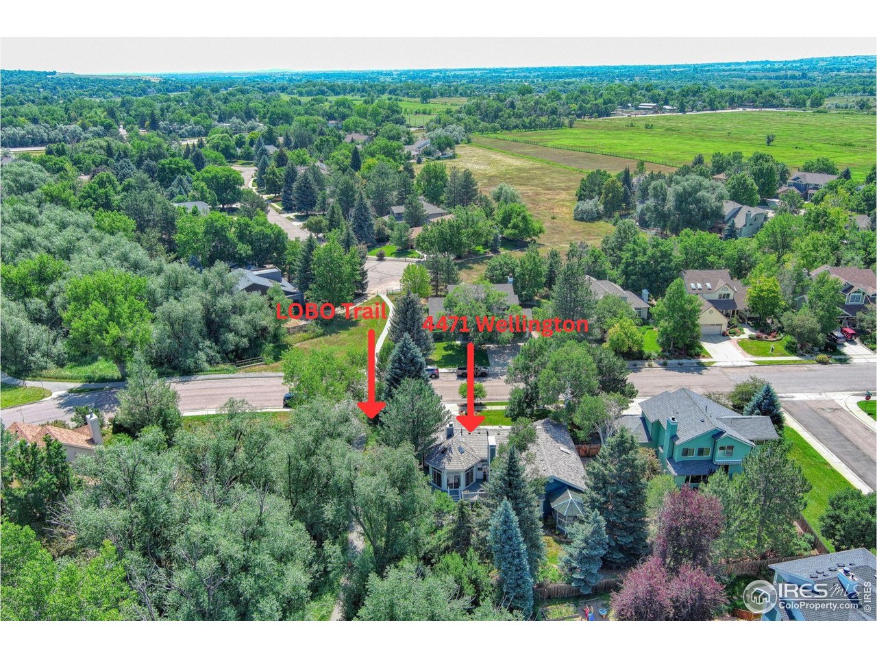 4471 Wellington Road Boulder, CO 80301 - Photo 39 of 42 a view of a garden with a lake