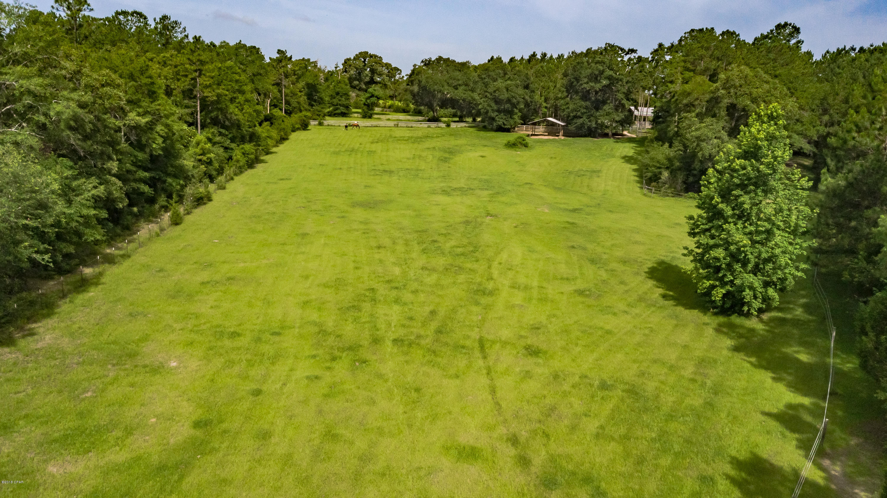 2697 Gilberts Mill Road Chipley, FL 32428 - Photo 4 of 49 Gallery Image 4