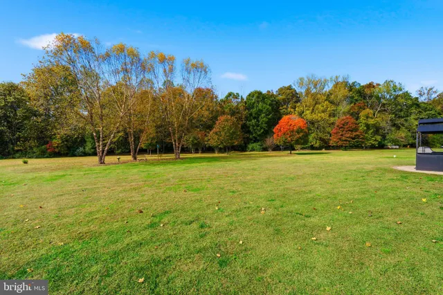a view of a field with trees in the background