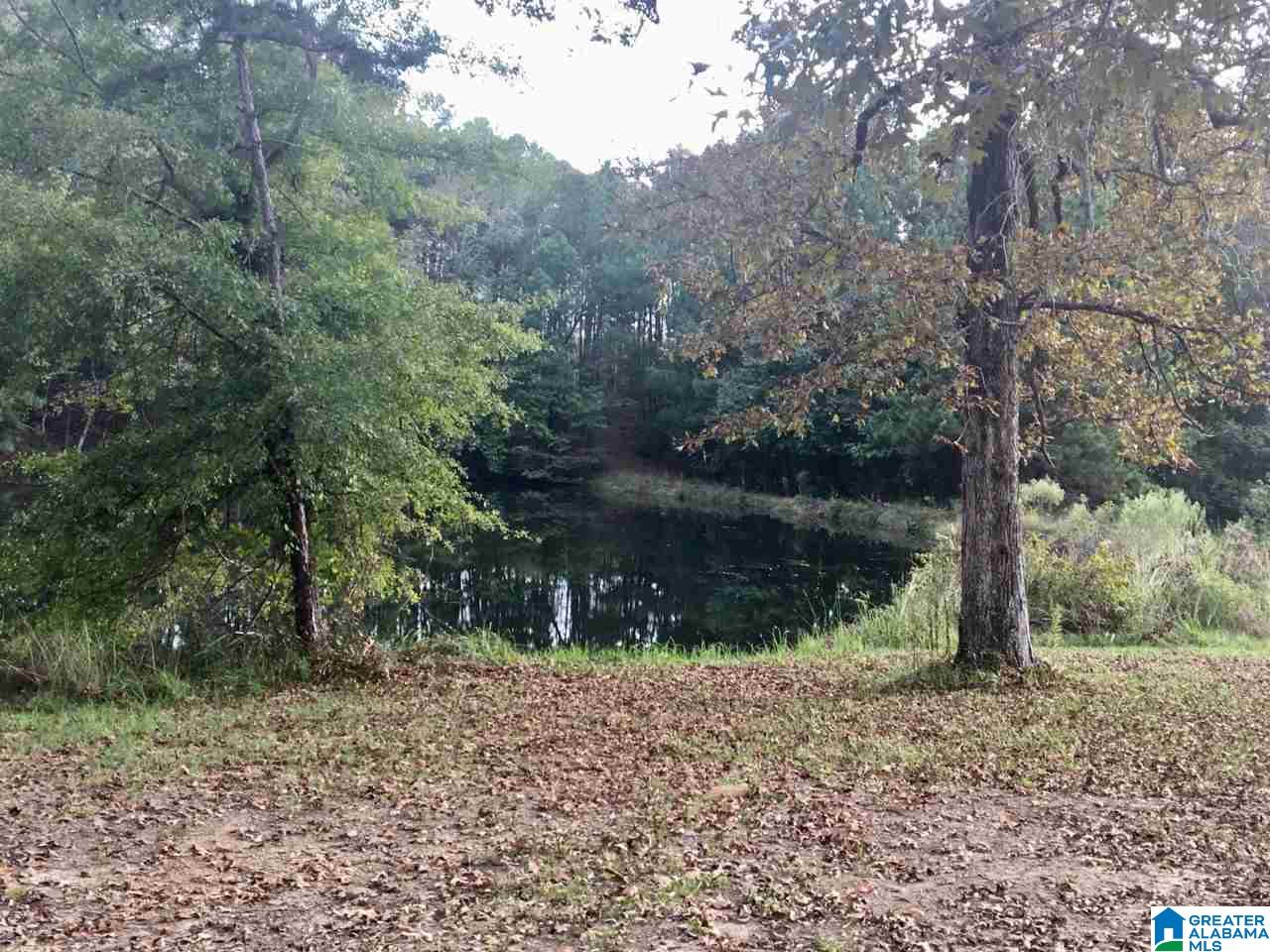 Serene Lake Road, Unit 8471 McCalla, AL 35111 - Photo 29 of 30