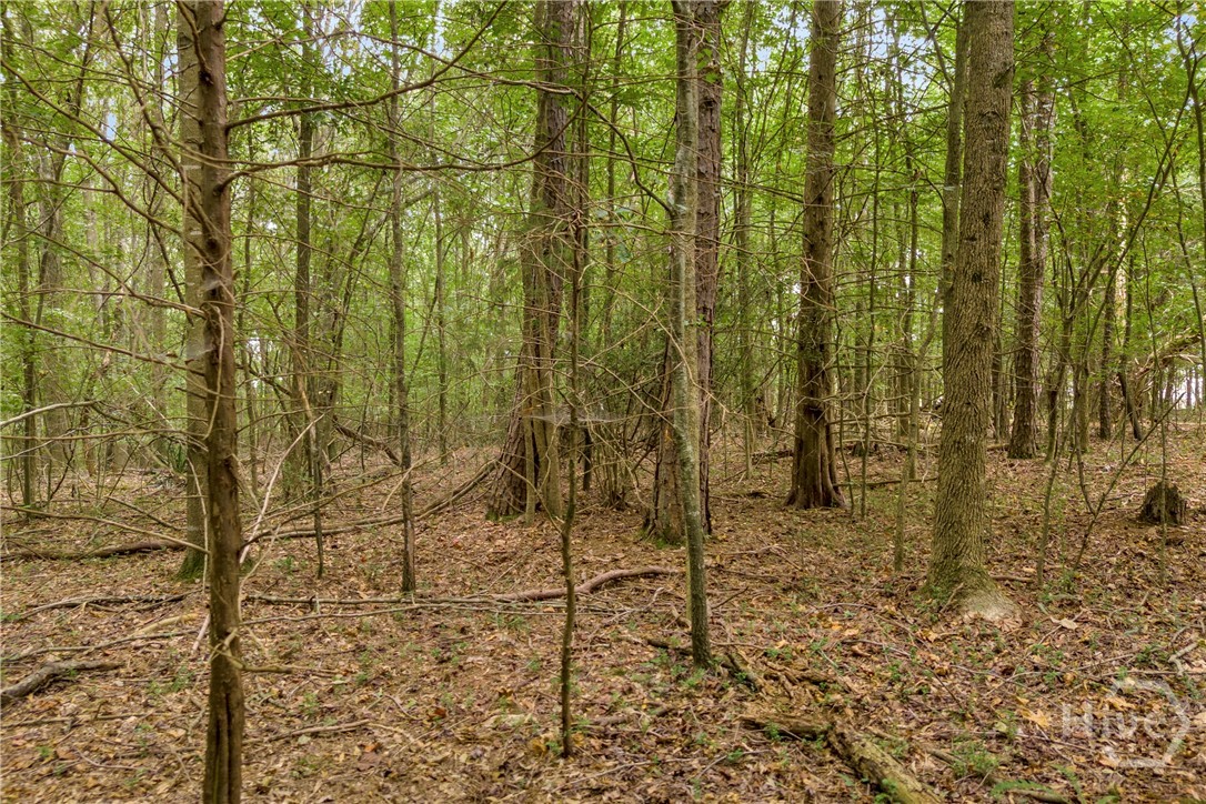 0 Carlan Road, Unit TRACT 4 Jasper, GA 30143 - Photo 11 of 16