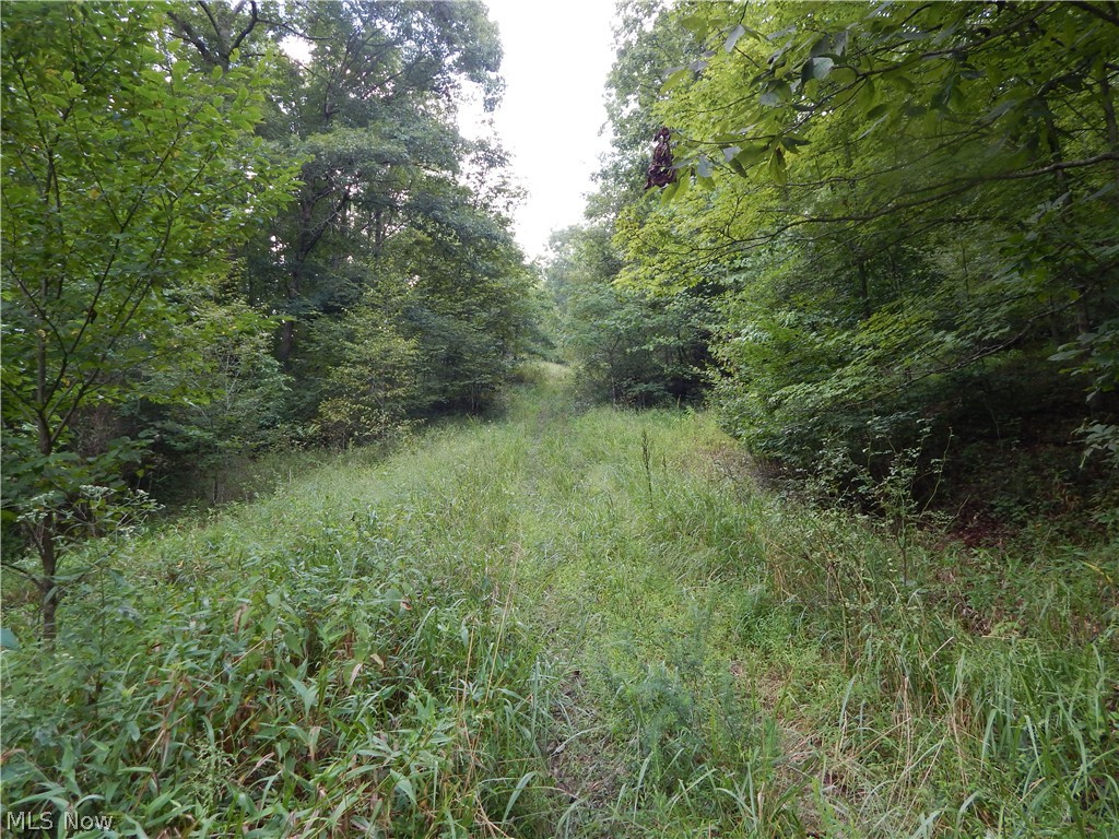 556 Goose Run Road Pullman, WV 26421 - Photo 31 of 35