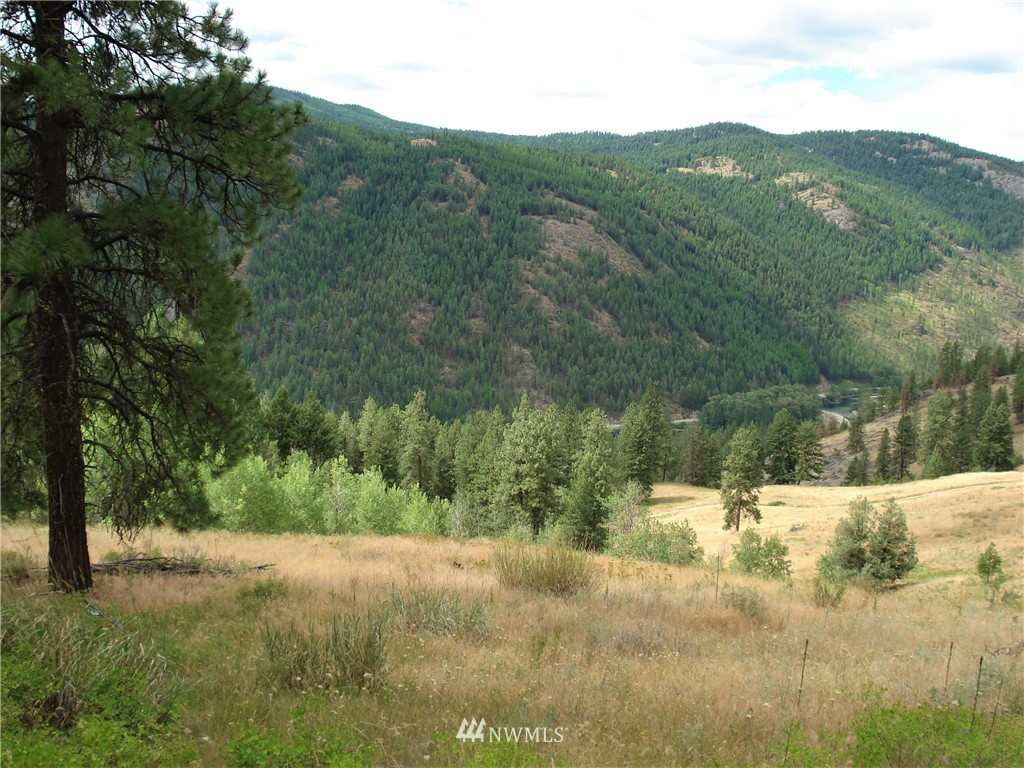 24 Coralee Loop Curlew, WA 99118 - Photo 1 of 40 Gallery Image 1