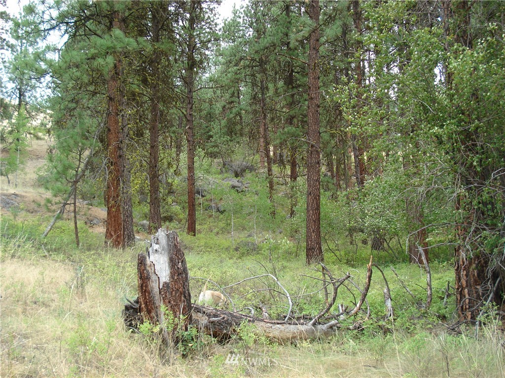 24 Coralee Loop Curlew, WA 99118 - Photo 11 of 40 Gallery Image 11