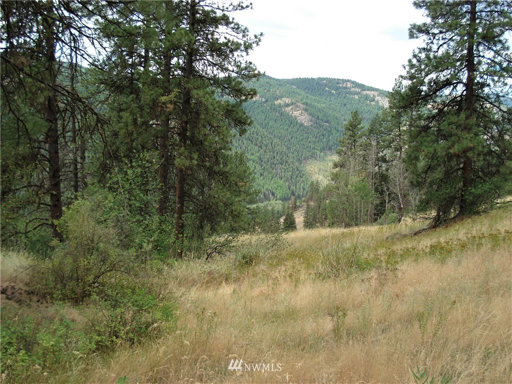 24 Coralee Loop Curlew, WA 99118 - Photo 12 of 40 Gallery Image 12