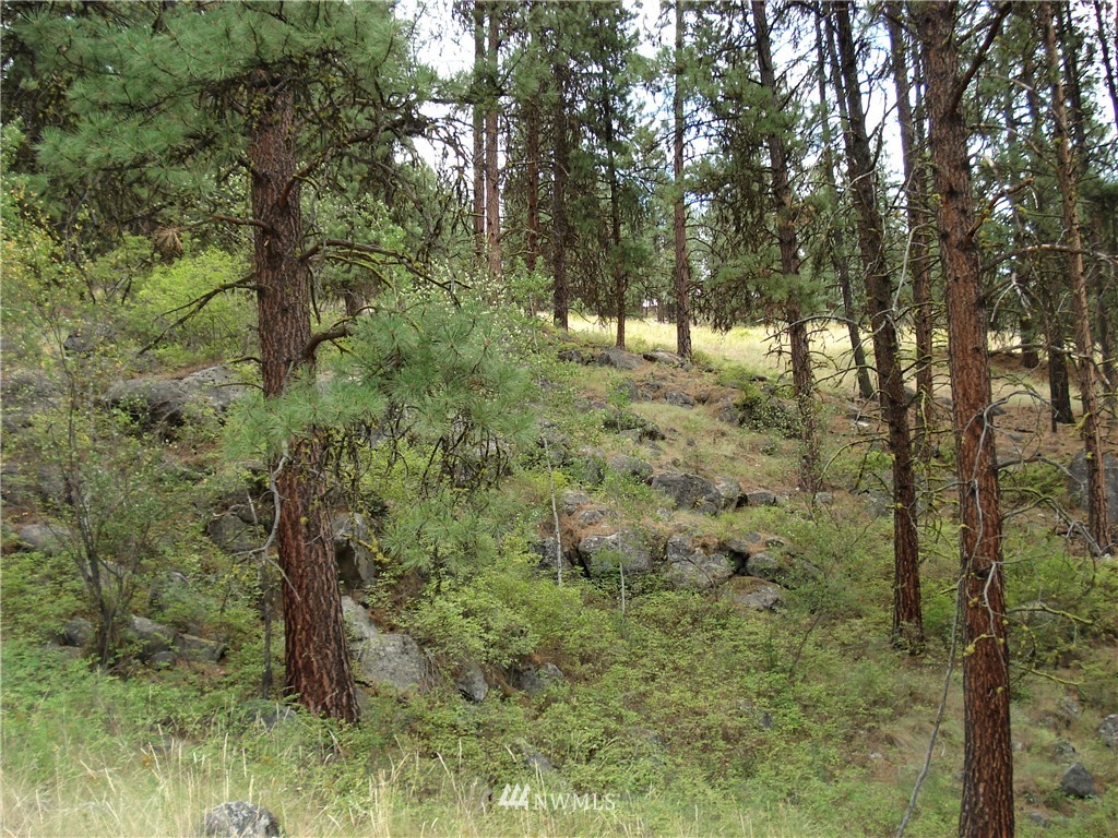 24 Coralee Loop Curlew, WA 99118 - Photo 13 of 40 Gallery Image 13