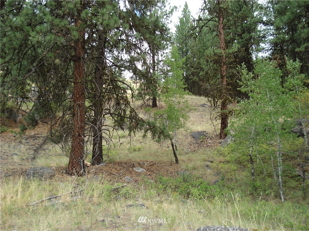 24 Coralee Loop Curlew, WA 99118 - Photo 14 of 40 Gallery Image 14