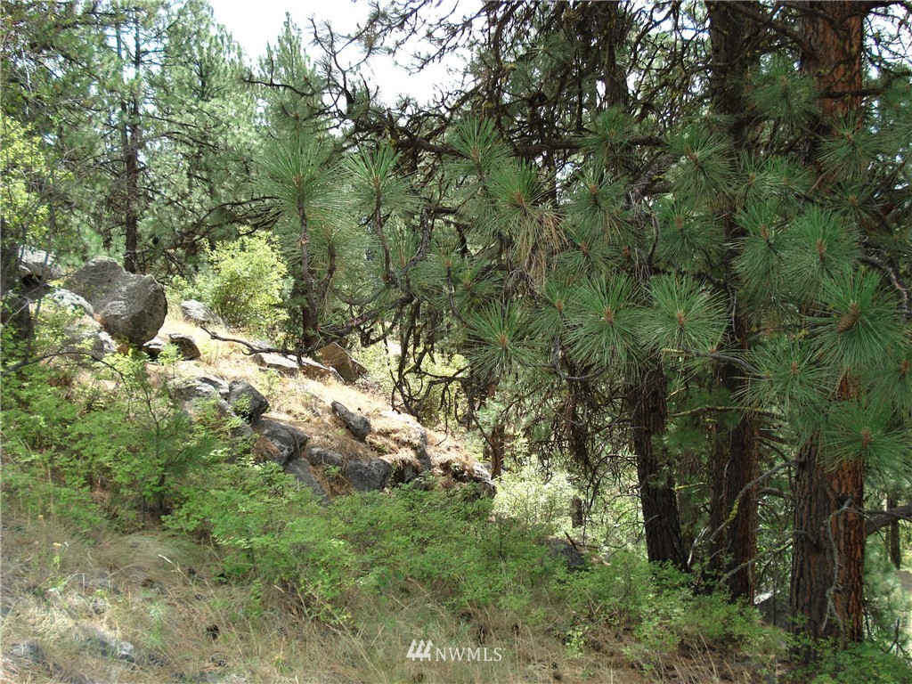 24 Coralee Loop Curlew, WA 99118 - Photo 16 of 40 Gallery Image 16