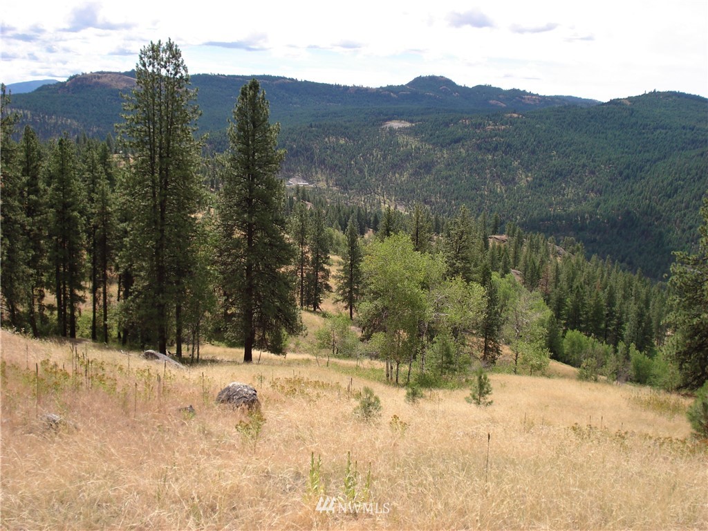 24 Coralee Loop Curlew, WA 99118 - Photo 17 of 40 Gallery Image 17