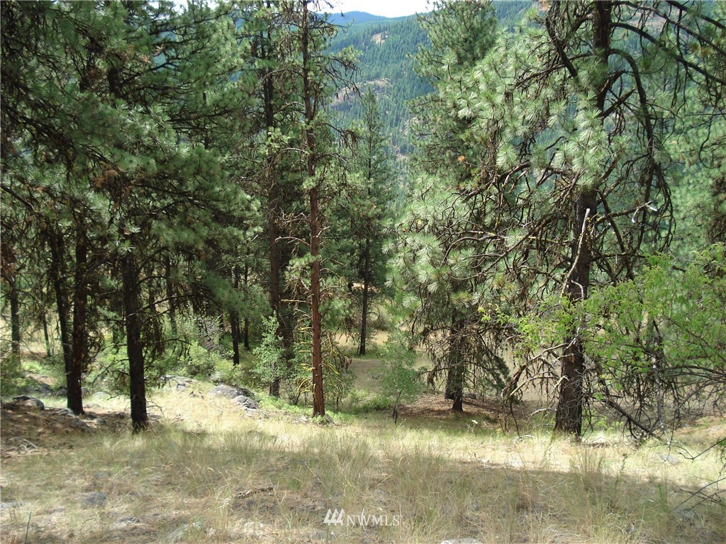 24 Coralee Loop Curlew, WA 99118 - Photo 18 of 40 Gallery Image 18
