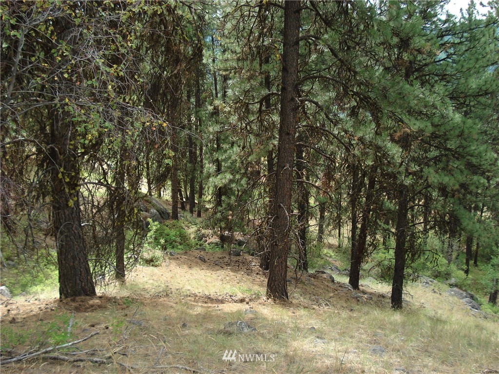 24 Coralee Loop Curlew, WA 99118 - Photo 19 of 40 Gallery Image 19
