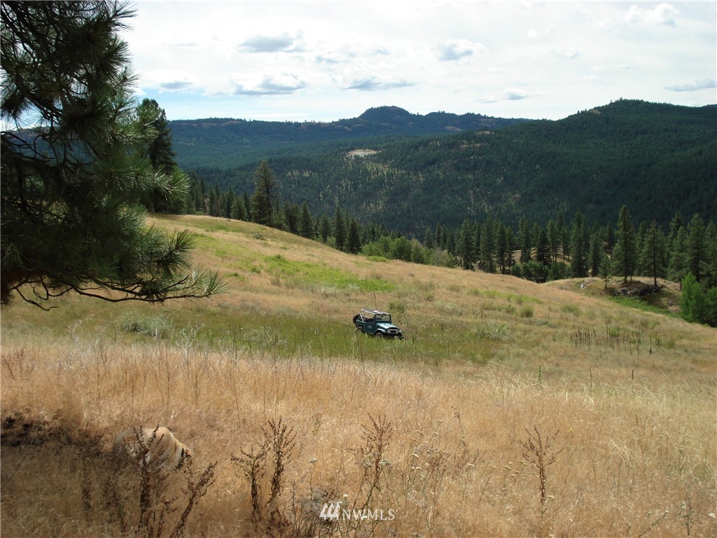24 Coralee Loop Curlew, WA 99118 - Photo 20 of 40 Gallery Image 20