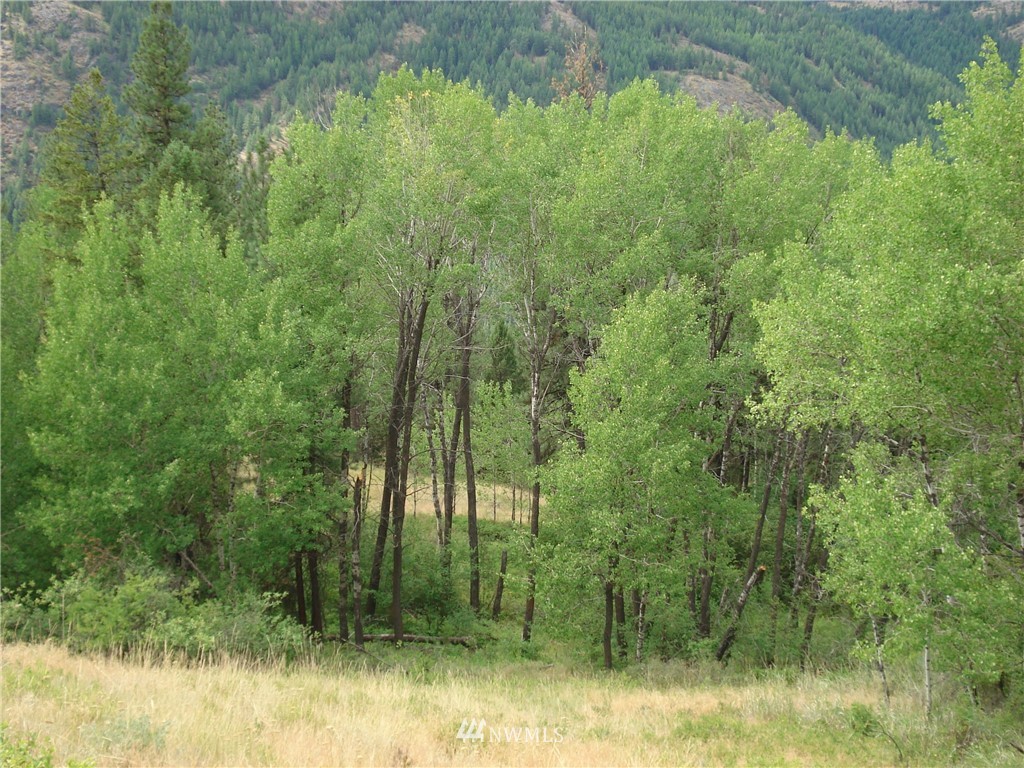 24 Coralee Loop Curlew, WA 99118 - Photo 3 of 40 Gallery Image 3