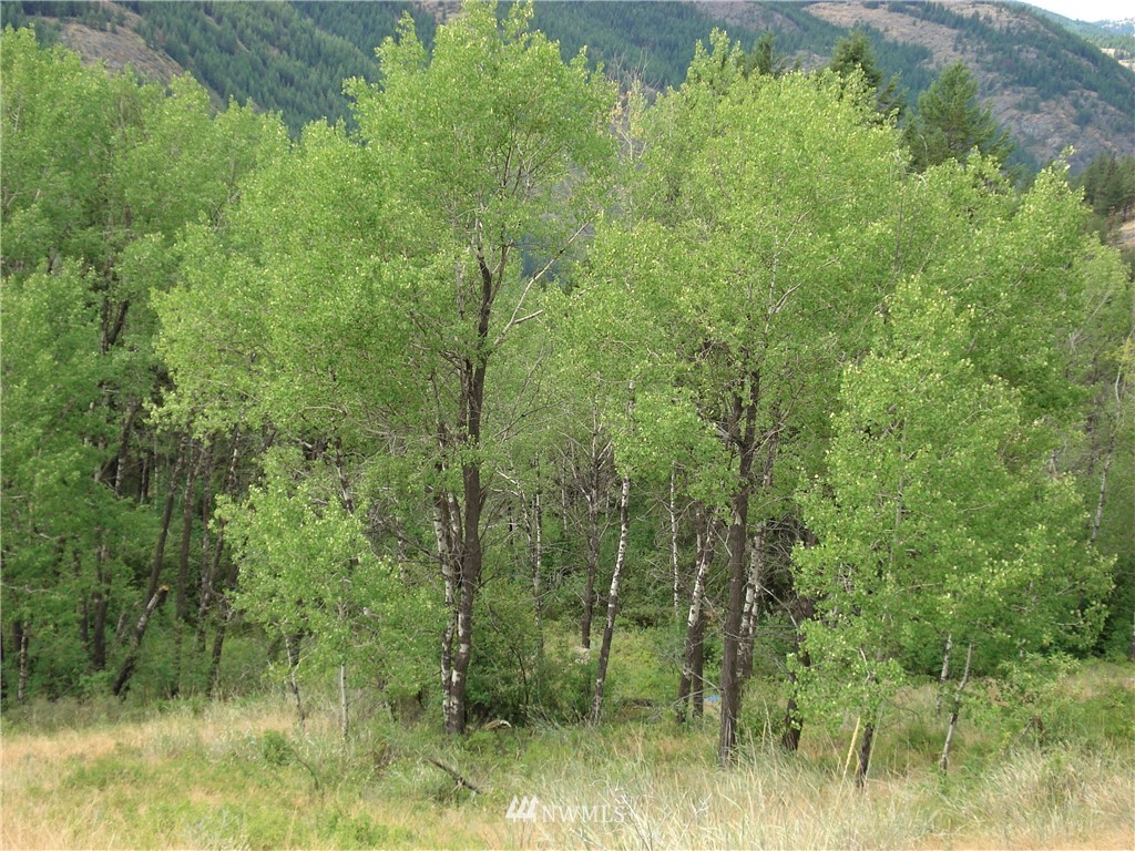 24 Coralee Loop Curlew, WA 99118 - Photo 21 of 40 Gallery Image 21
