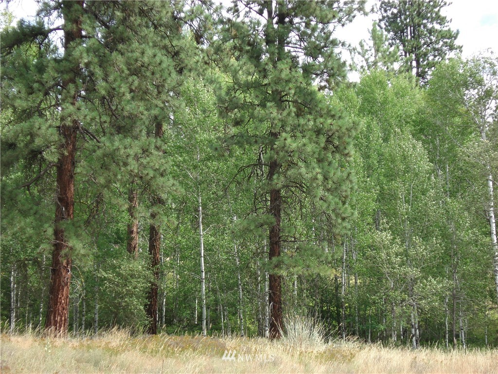 24 Coralee Loop Curlew, WA 99118 - Photo 22 of 40 Gallery Image 22
