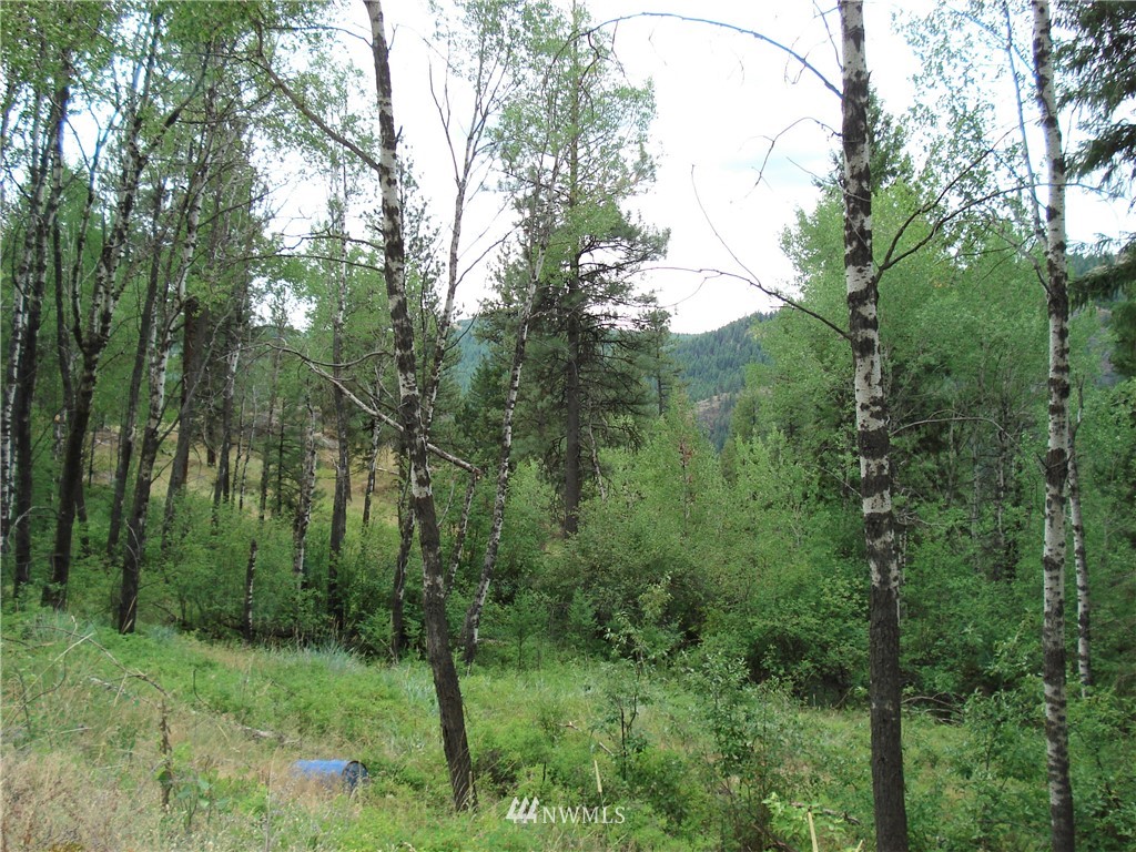 24 Coralee Loop Curlew, WA 99118 - Photo 23 of 40 Gallery Image 23