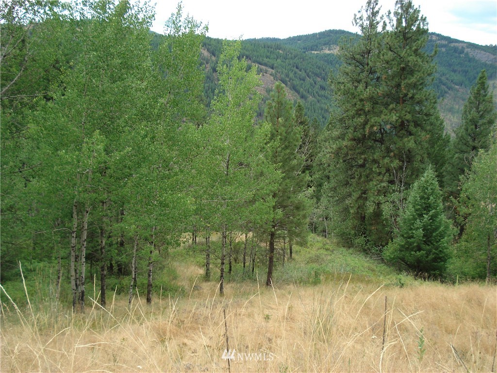 24 Coralee Loop Curlew, WA 99118 - Photo 24 of 40 Gallery Image 24