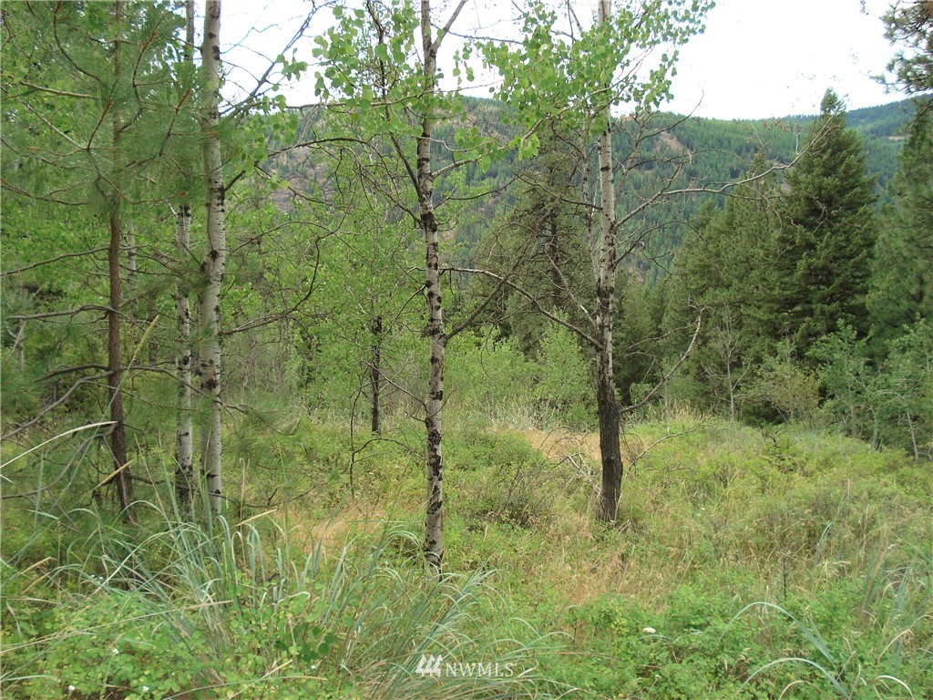 24 Coralee Loop Curlew, WA 99118 - Photo 25 of 40 Gallery Image 25