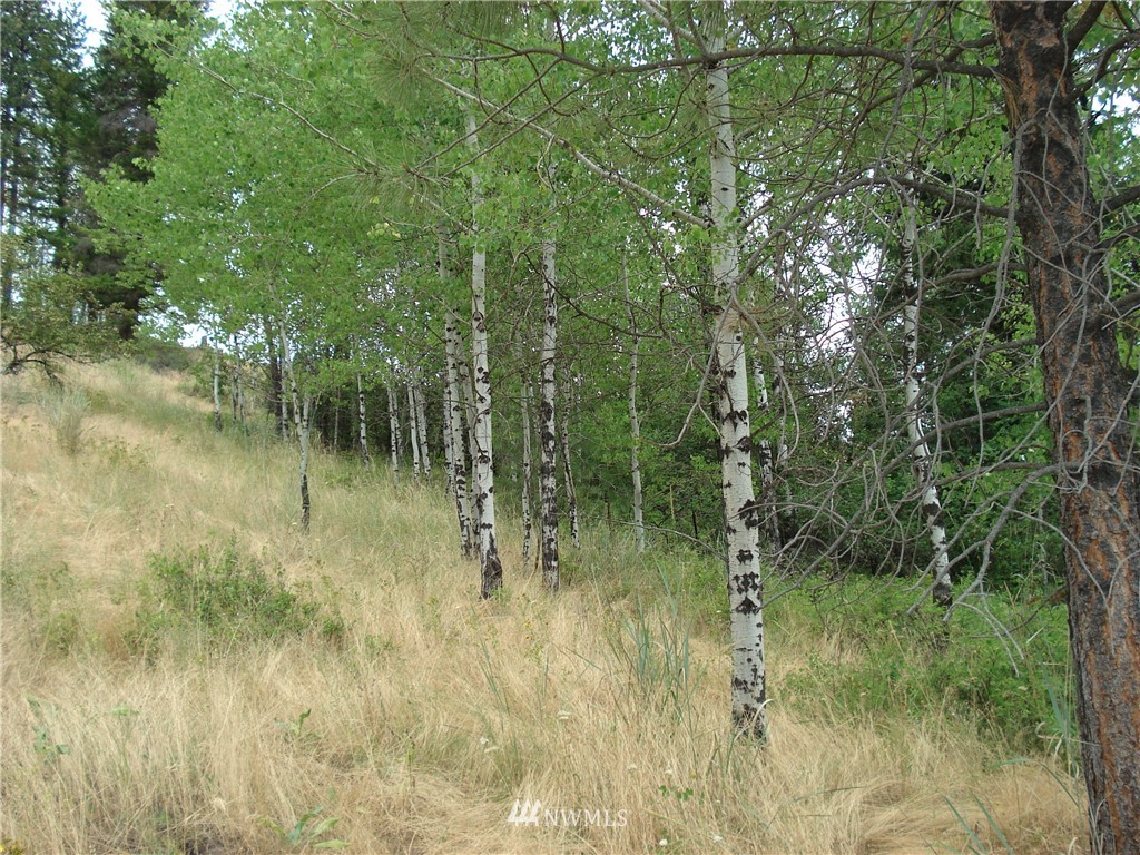 24 Coralee Loop Curlew, WA 99118 - Photo 26 of 40 Gallery Image 26
