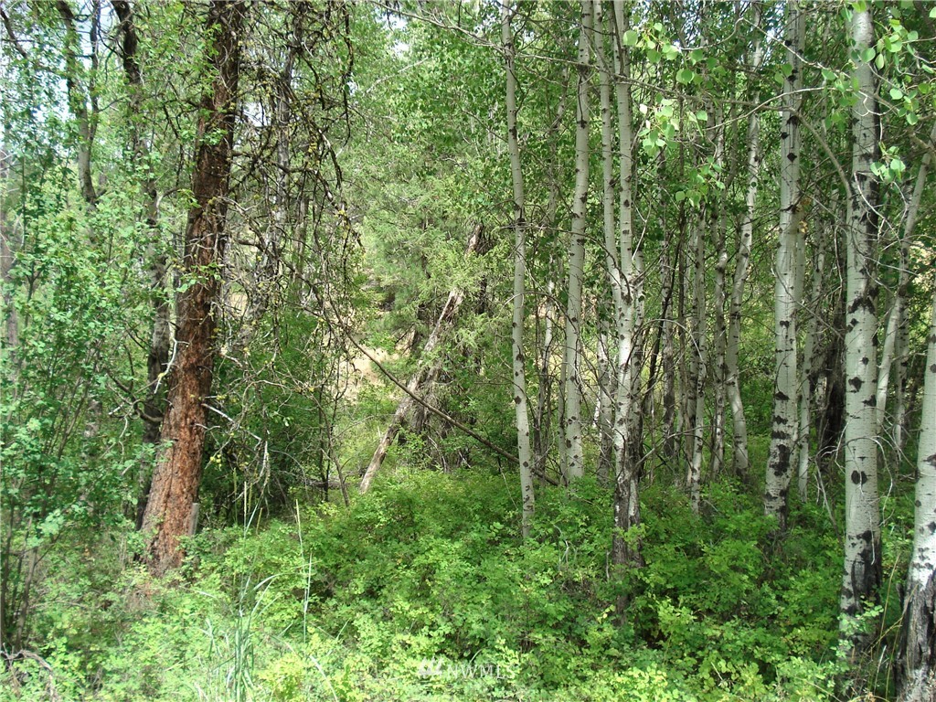 24 Coralee Loop Curlew, WA 99118 - Photo 27 of 40 Gallery Image 27