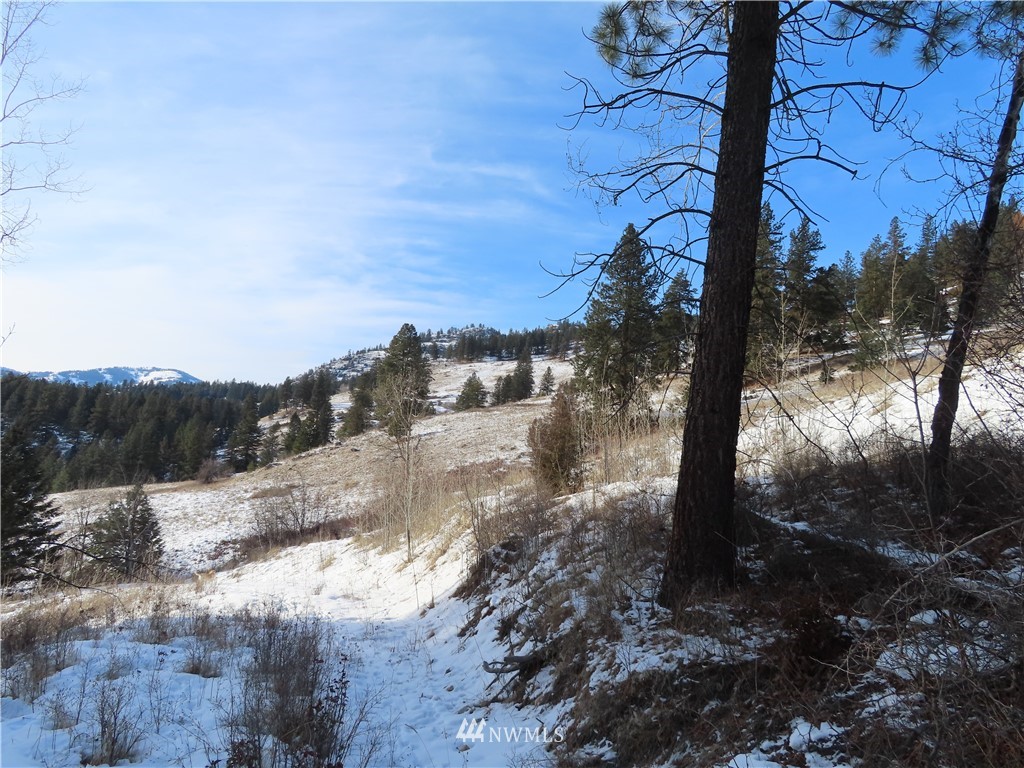 24 Coralee Loop Curlew, WA 99118 - Photo 31 of 40 Gallery Image 31