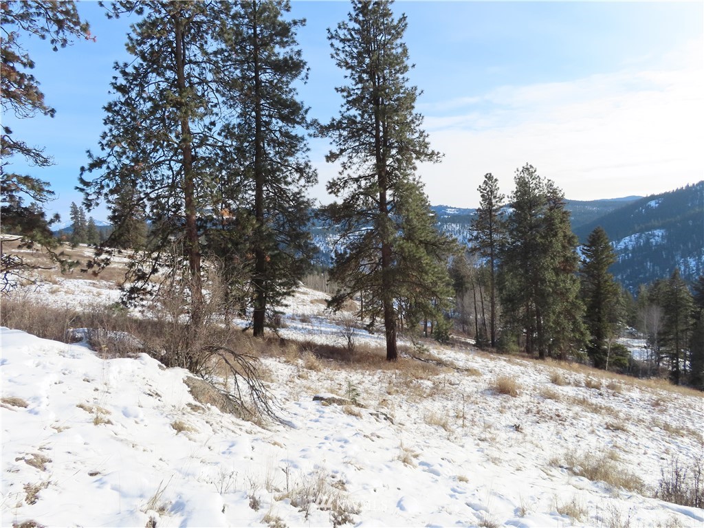 24 Coralee Loop Curlew, WA 99118 - Photo 37 of 40 Gallery Image 37