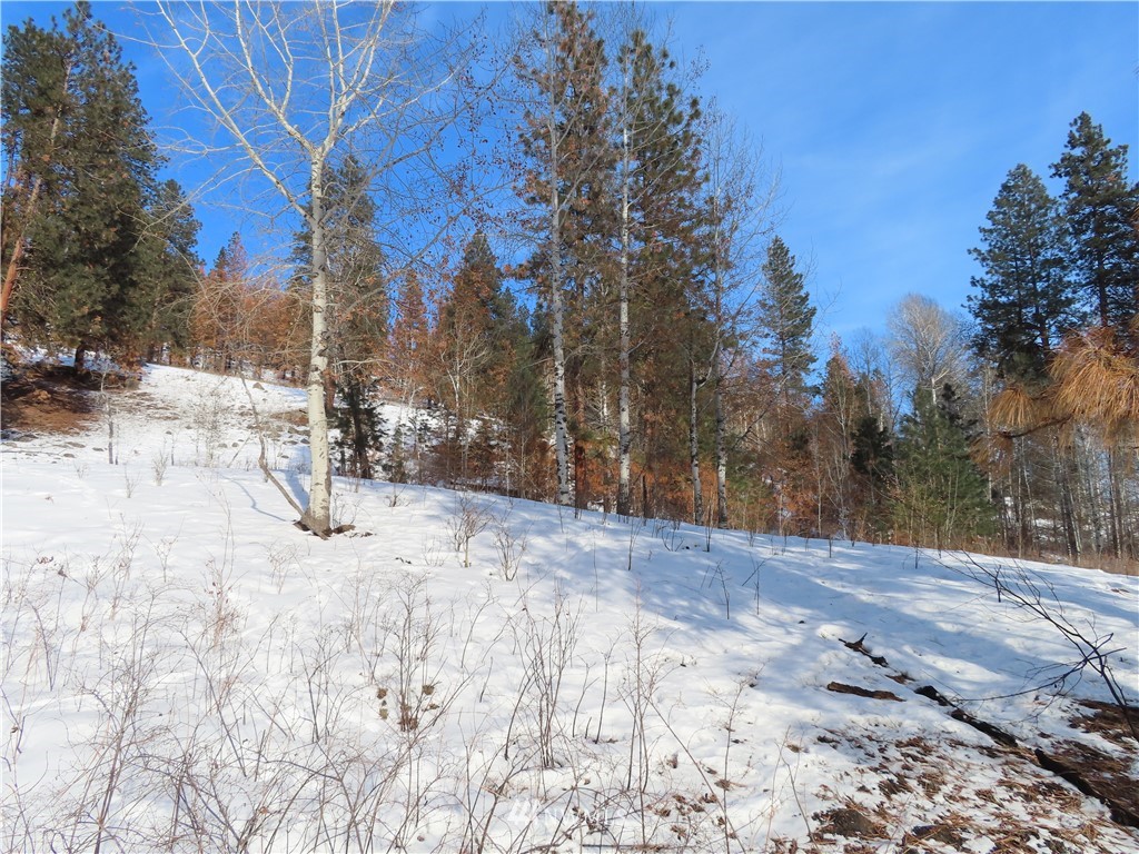 24 Coralee Loop Curlew, WA 99118 - Photo 39 of 40 Gallery Image 39