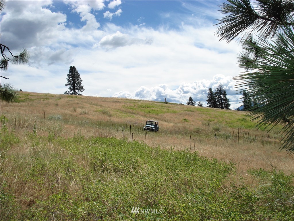 24 Coralee Loop Curlew, WA 99118 - Photo 5 of 40 Gallery Image 5