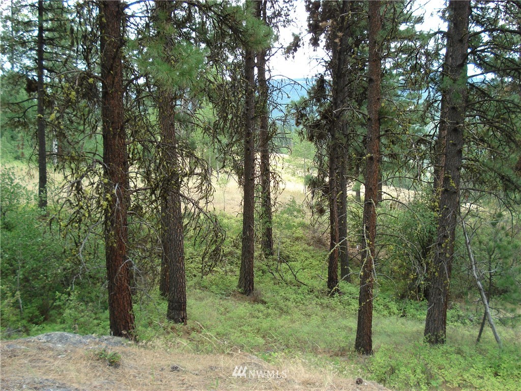 24 Coralee Loop Curlew, WA 99118 - Photo 7 of 40 Gallery Image 7