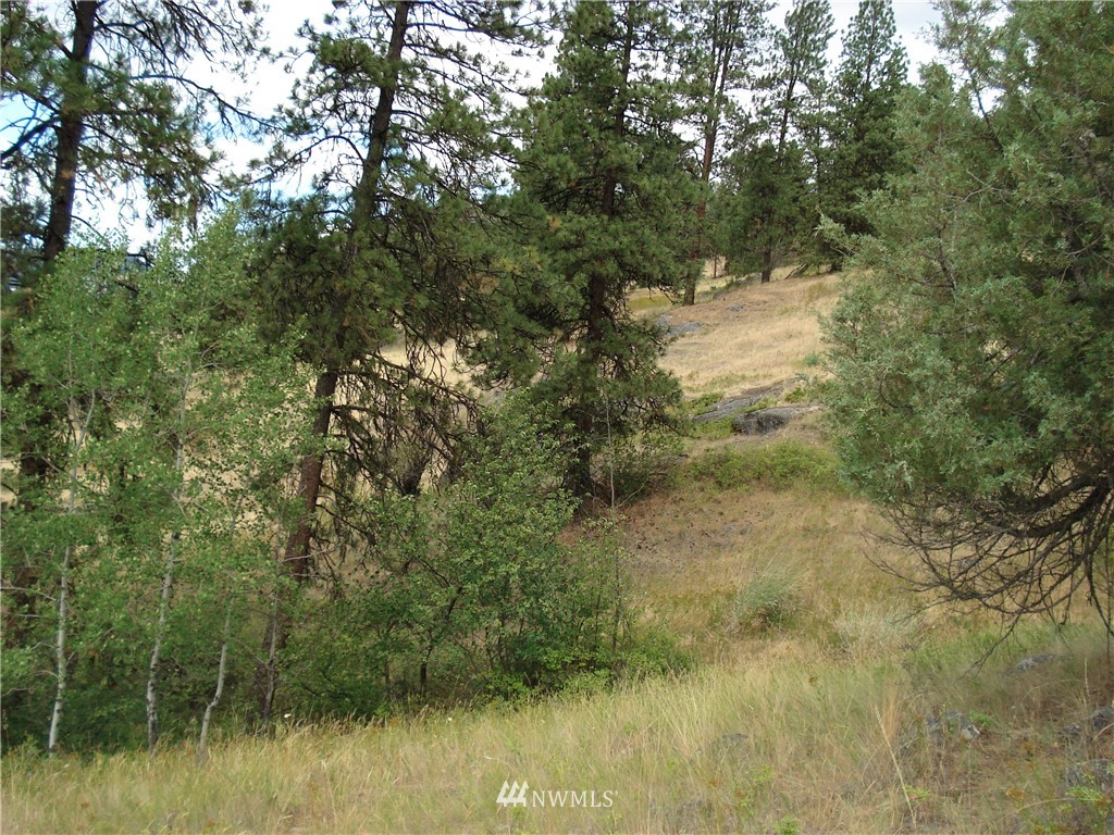24 Coralee Loop Curlew, WA 99118 - Photo 8 of 40 Gallery Image 8