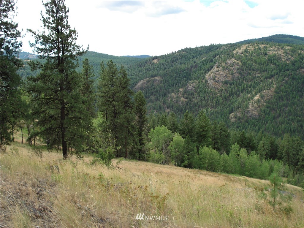 24 Coralee Loop Curlew, WA 99118 - Photo 9 of 40 Gallery Image 9