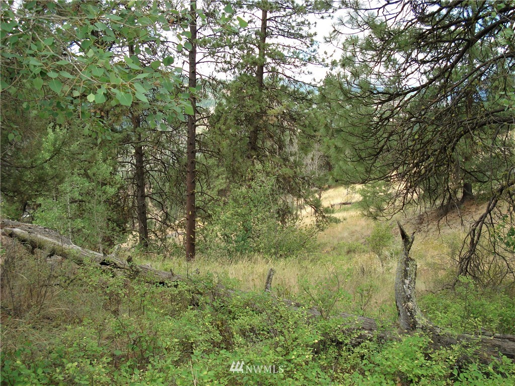 24 Coralee Loop Curlew, WA 99118 - Photo 10 of 40 Gallery Image 10