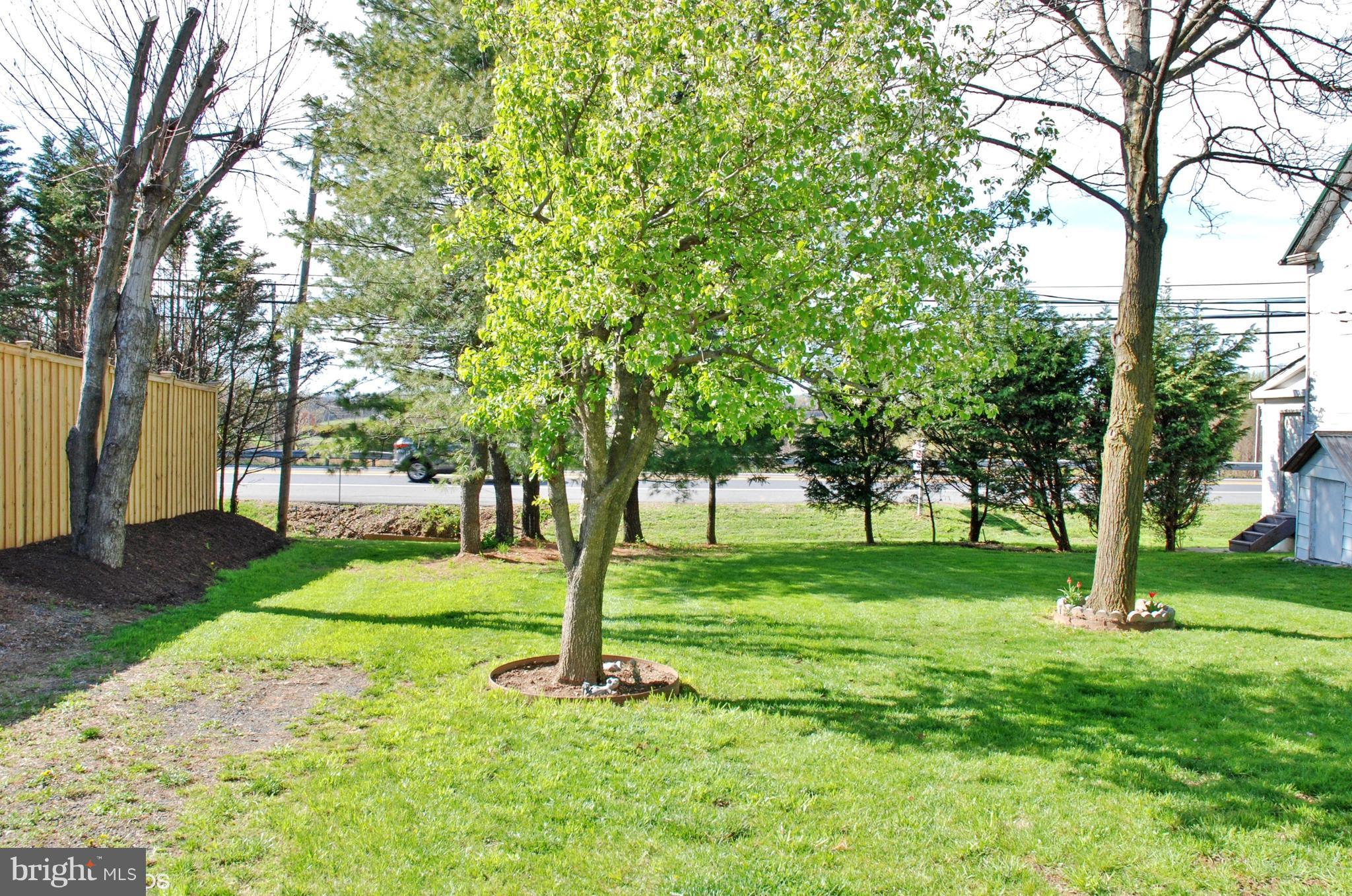 24211 Ridge Road Damascus, MD 20872 - Photo 11 of 15 Side yard