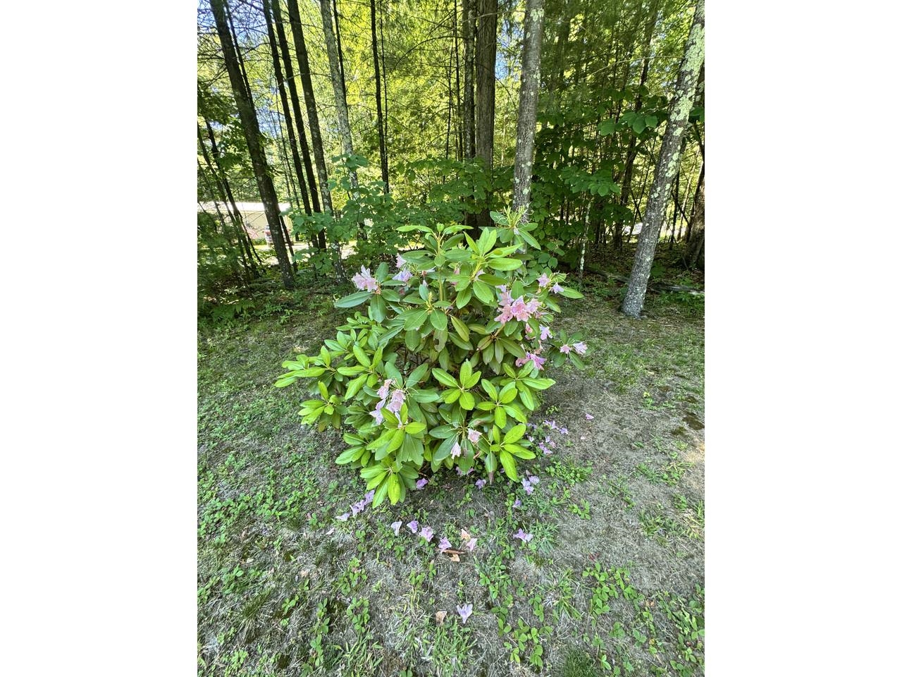 273 Shannon Road Colchester, VT 05446 - Photo 23 of 32
